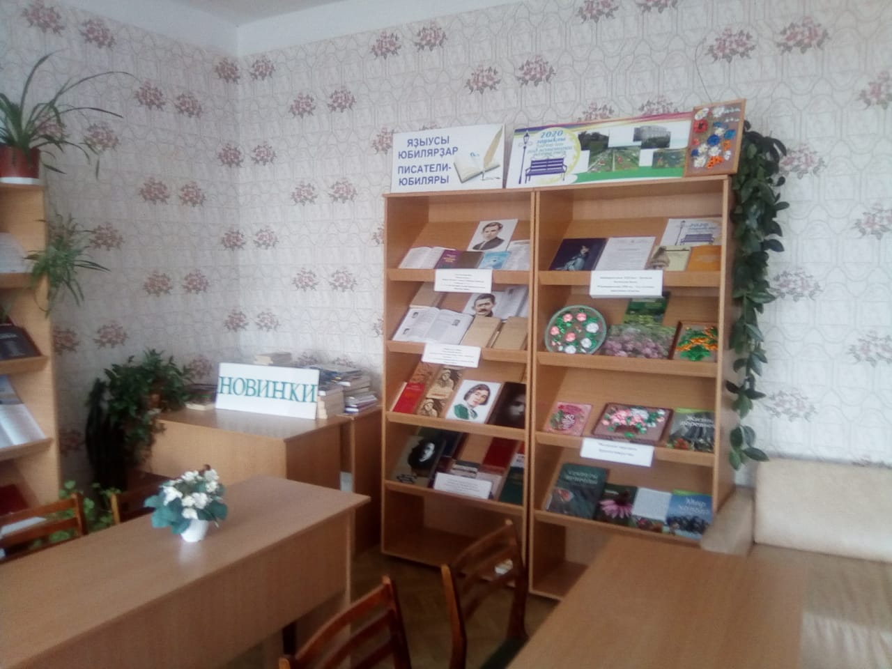 Максимовская сельская модельная библиотека
