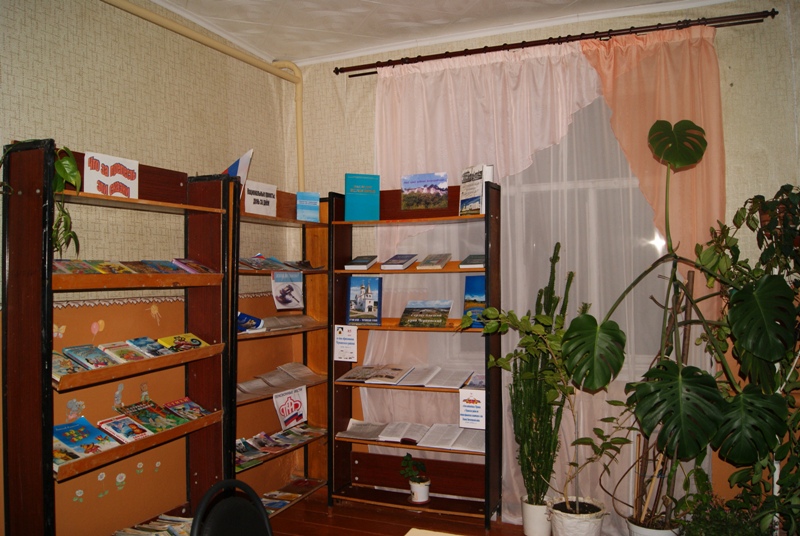 Новомасловская поселенческая библиотека