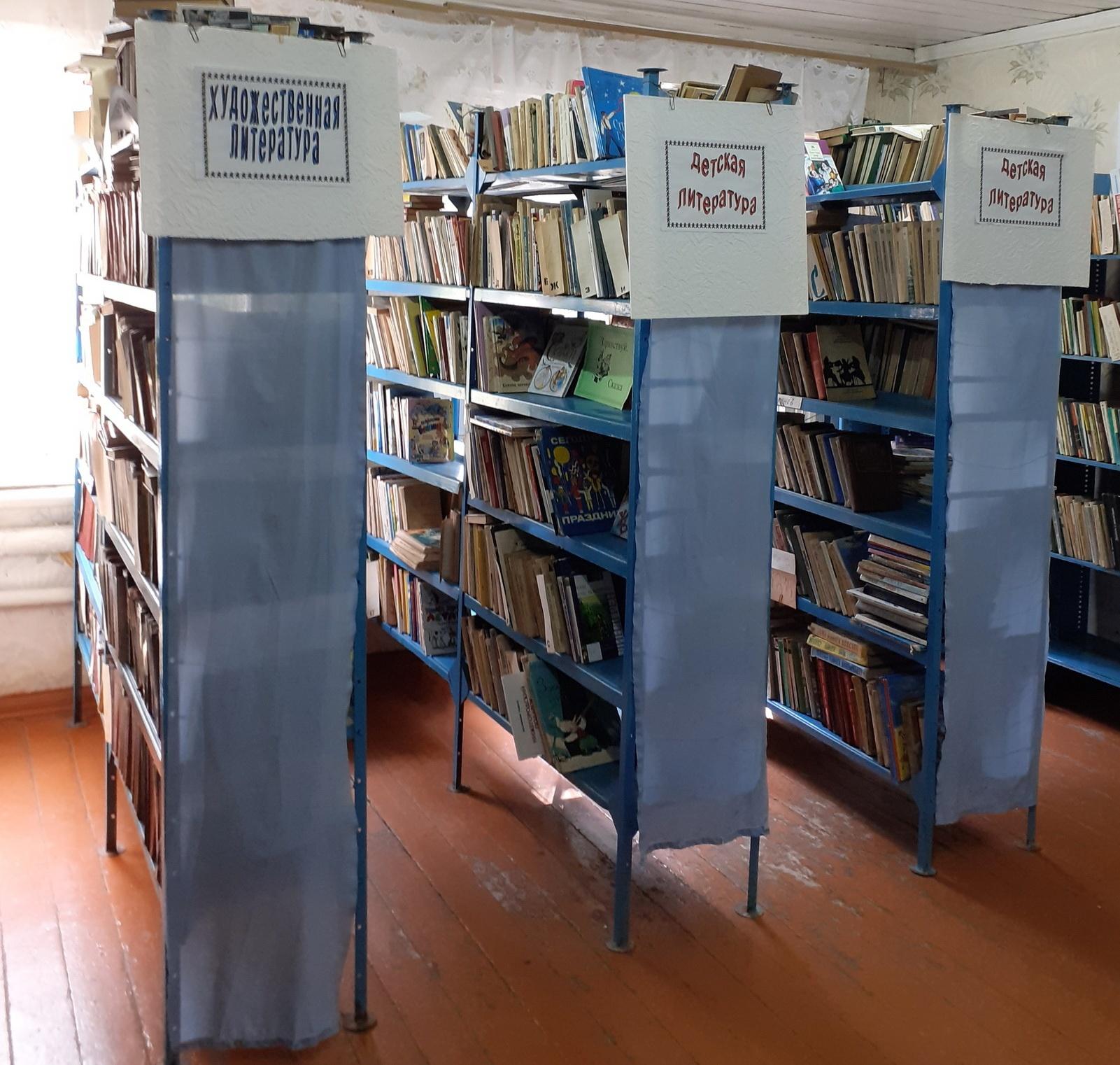 Старо-Дружковская сельская библиотека