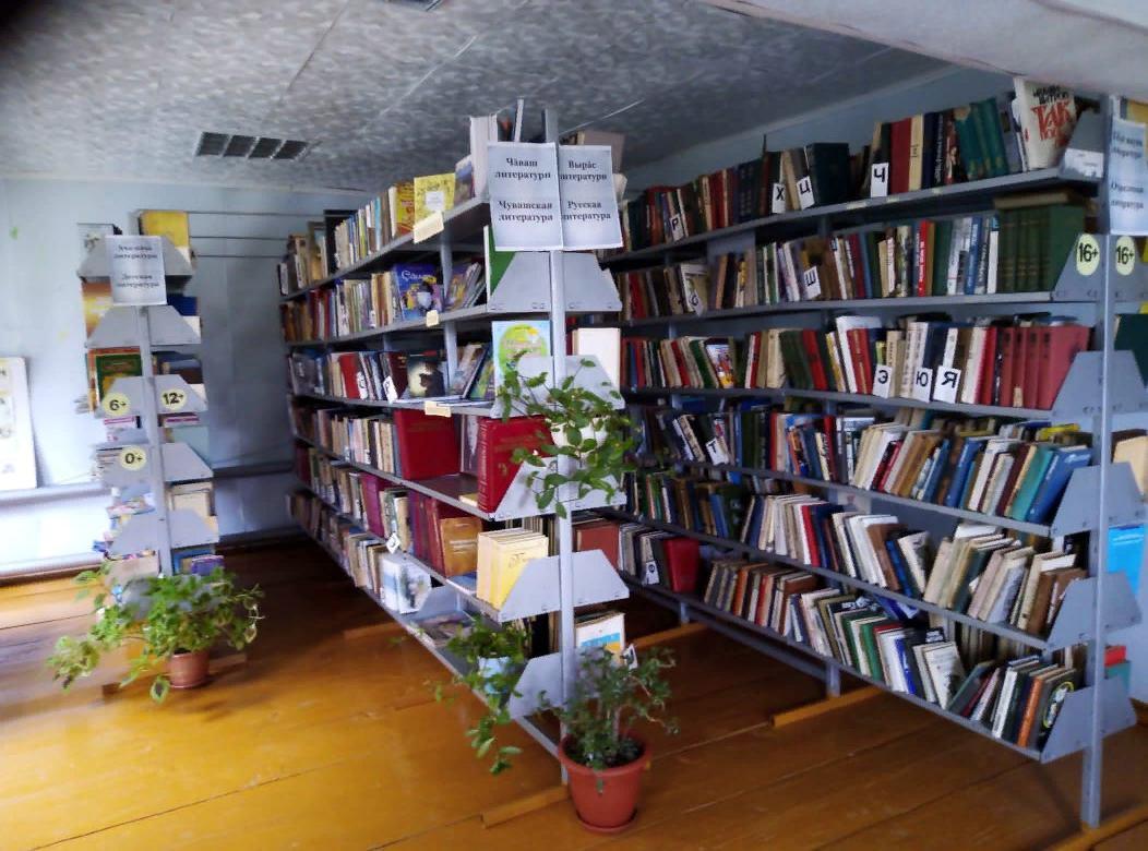 Ягункинская сельская библиотека