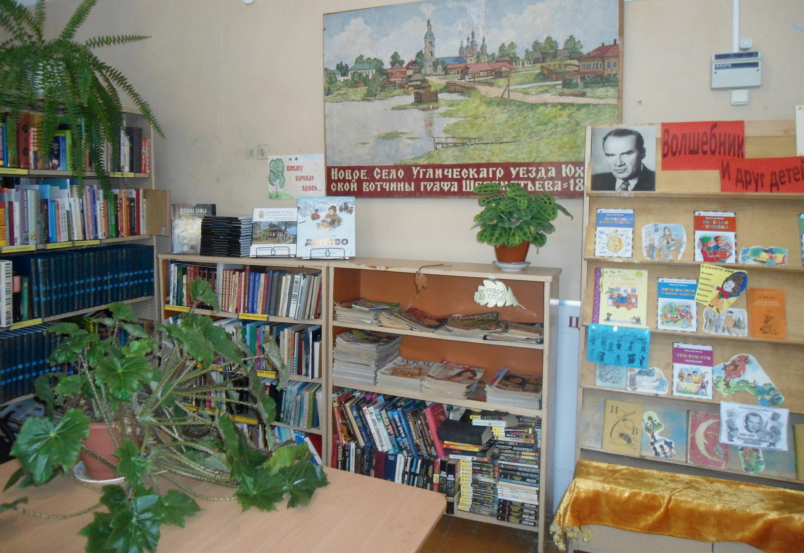 Новосельская сельская библиотека