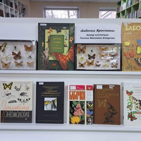 Энтомологическая выставка «Бабочки Ярославии»