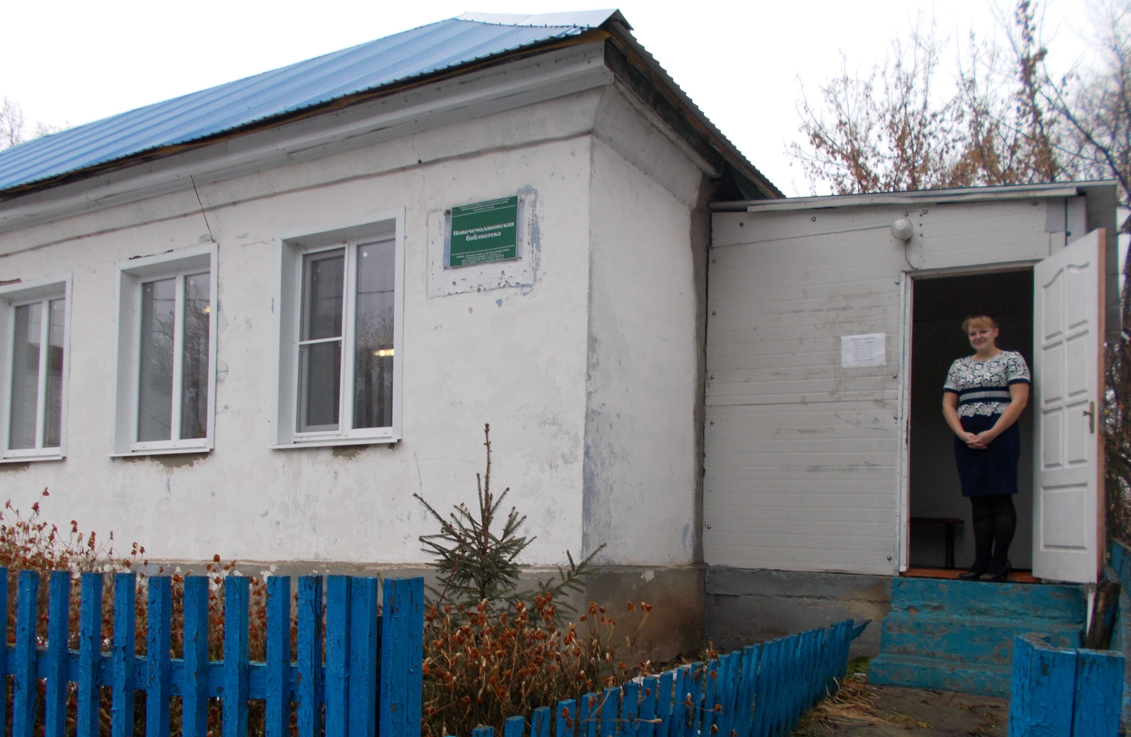 Новочемодановская сельская библиотека