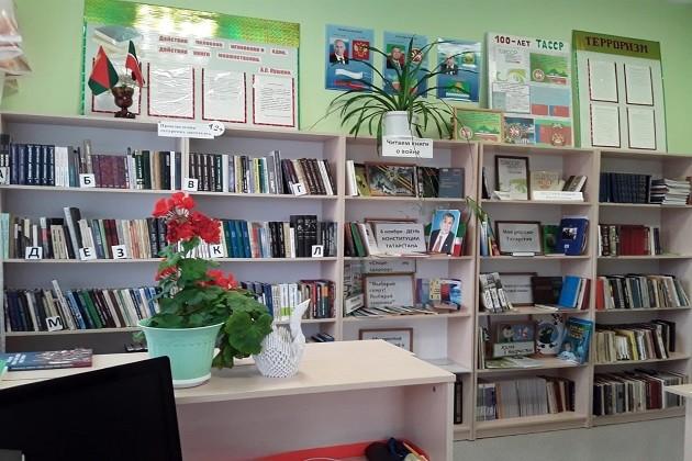 Гришкинская сельская библиотека-филиал № 28