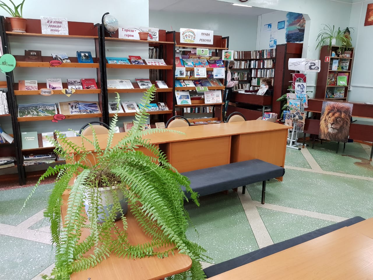 Детская библиотека-филиал № 14 г. Хабаровск