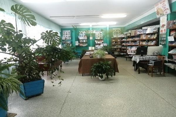 Каркаусьская сельская библиотека-филиал № 17
