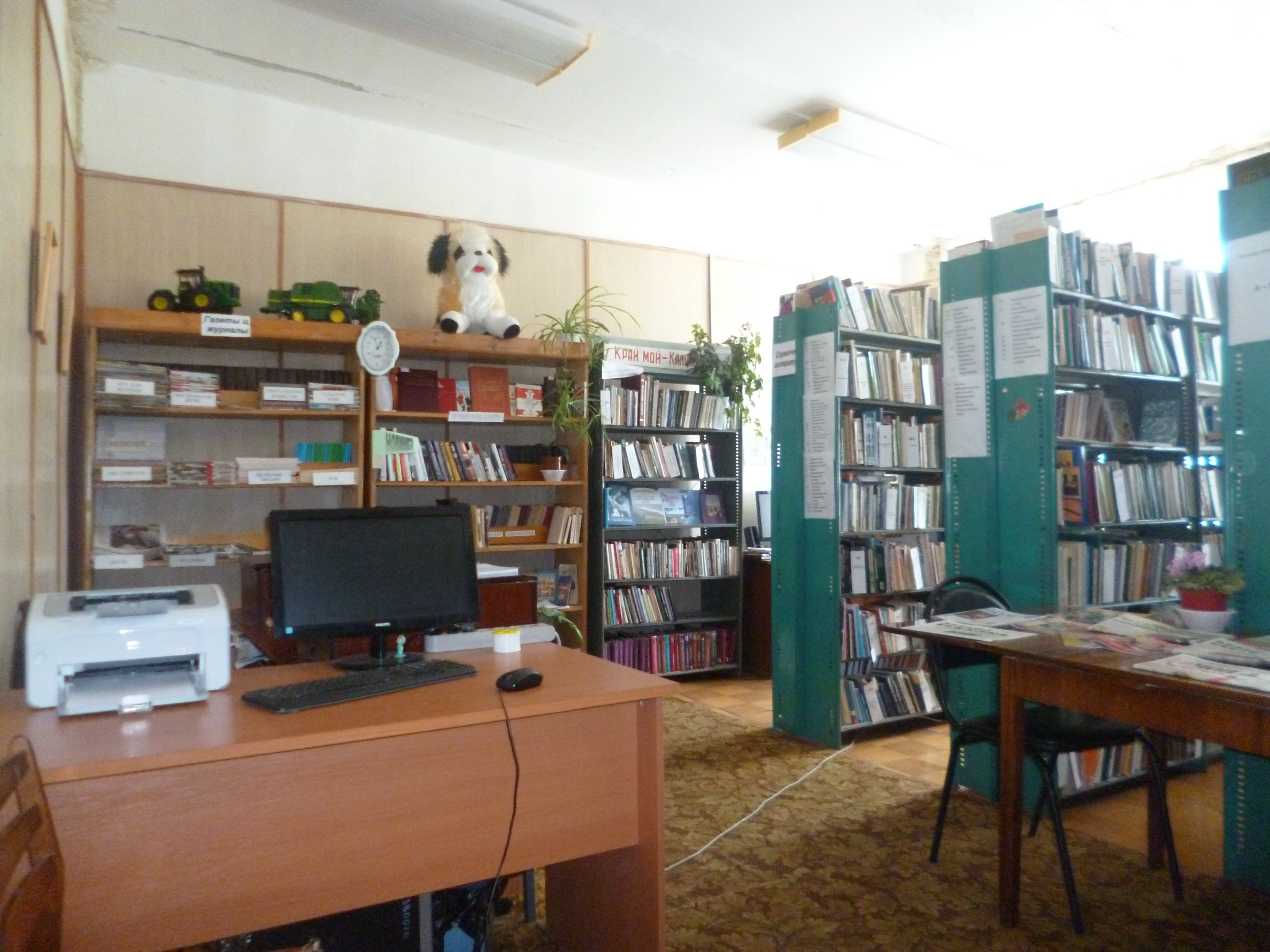 Горская библиотека д. Горки