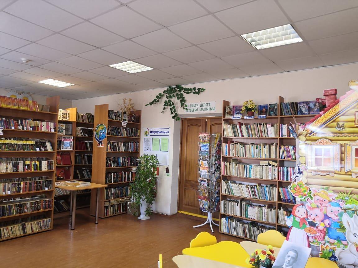 Вязовская сельская библиотека