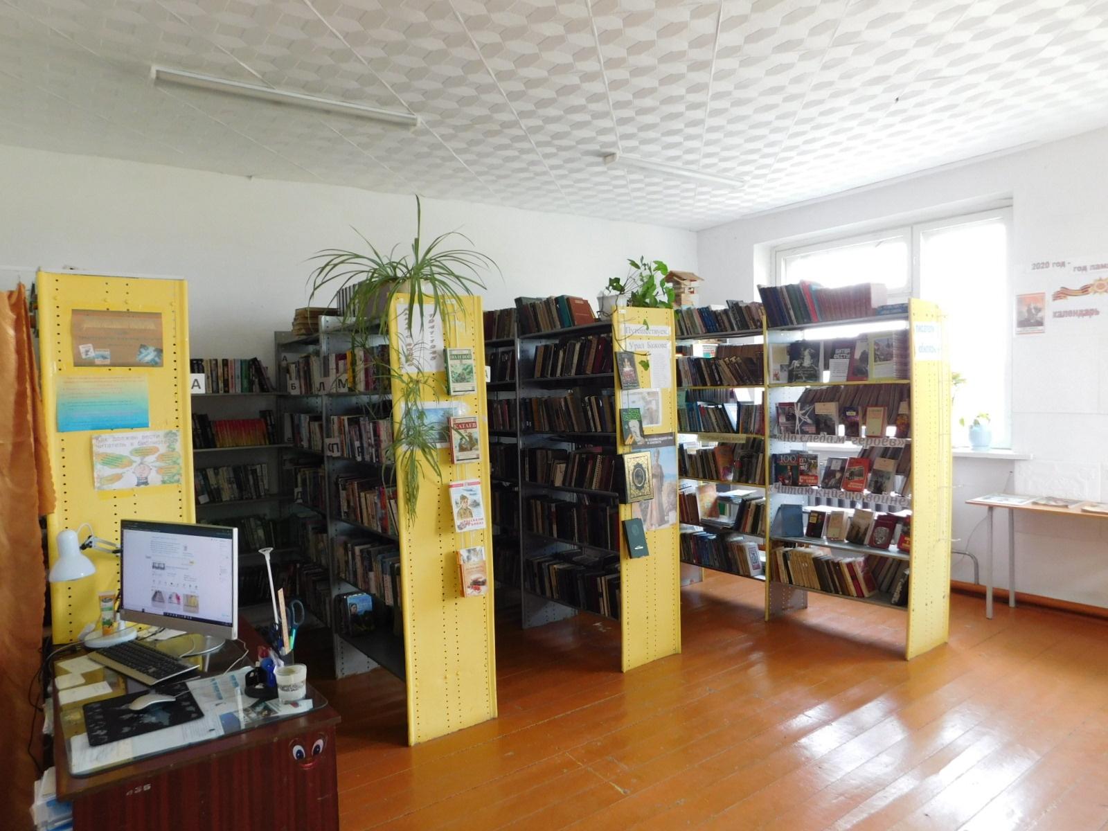 Пушкаревская сельская библиотека