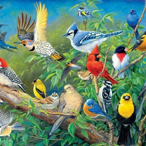 «В мире птиц»