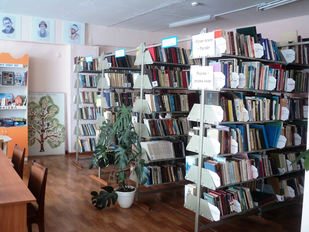 Усман-Ташлинская сельская модельная библиотека