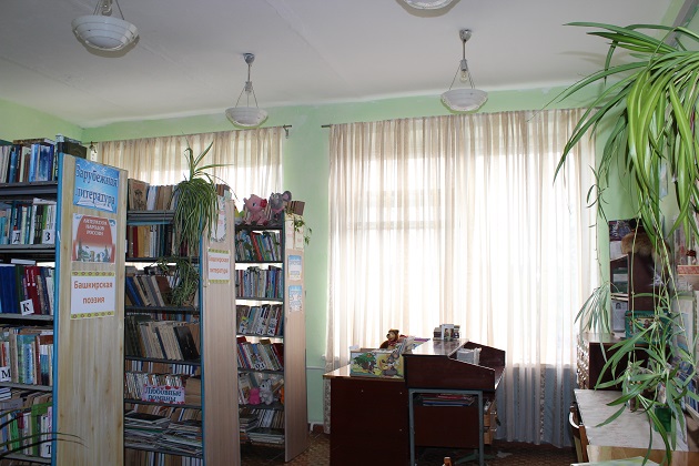 Новояушевская сельская библиотека