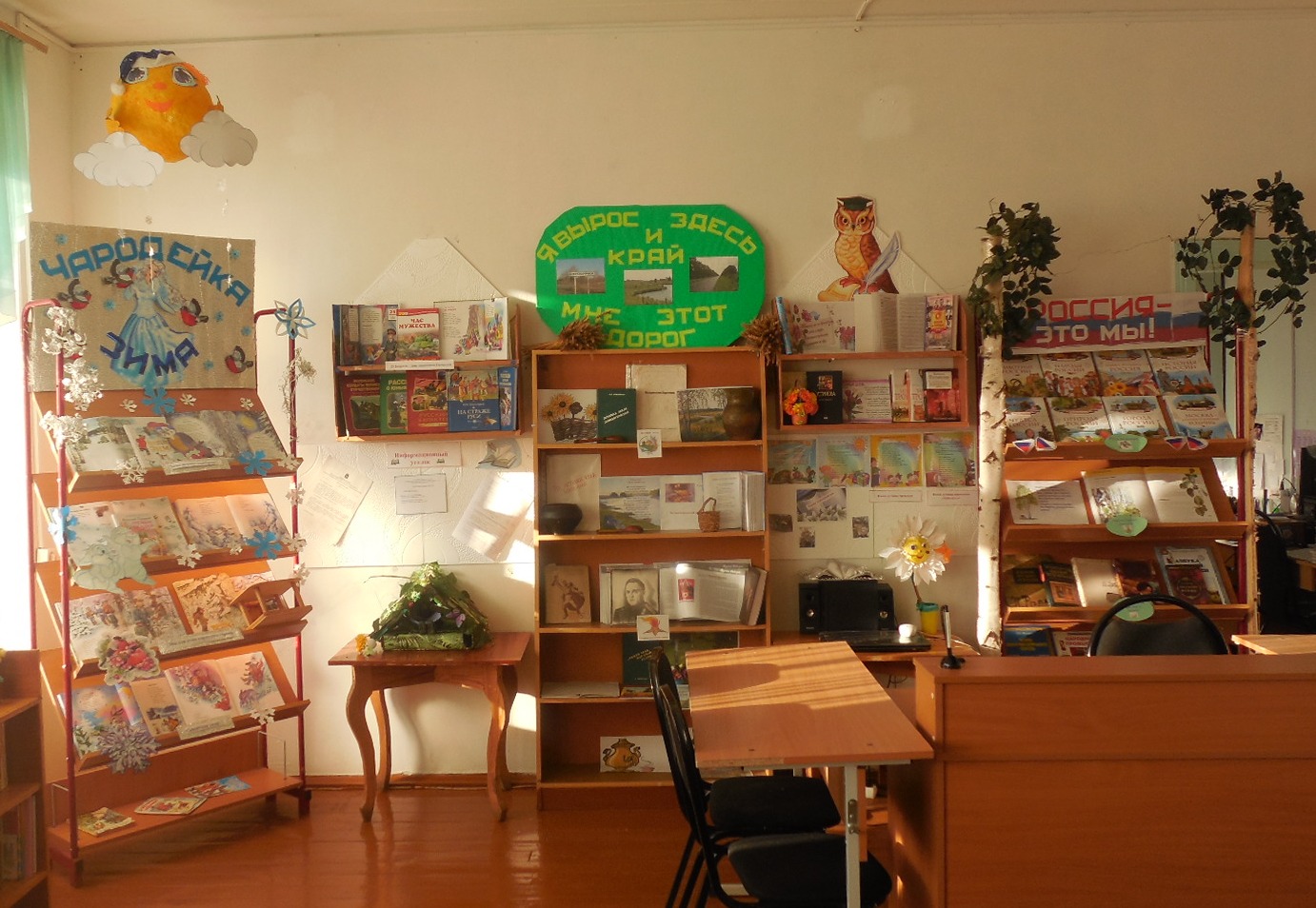Боровинская сельская библиотека