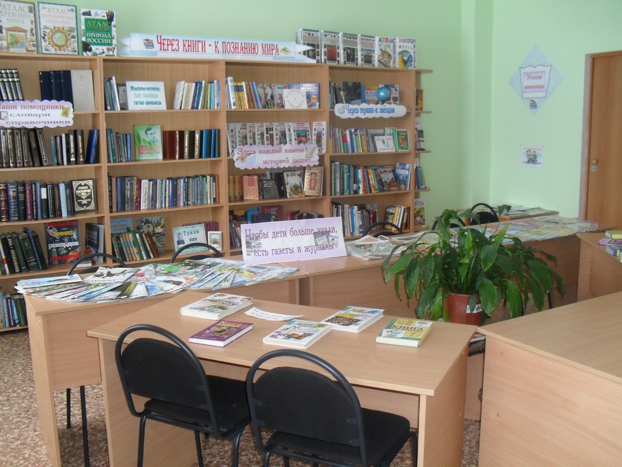 Старокалмашевская сельская модельная библиотека