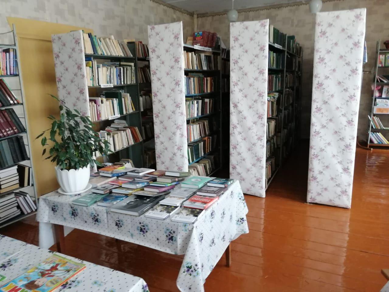 Салаушская сельская библиотека